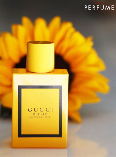 gucci vang